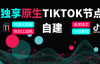 搭建自己的专属独享TikTok节点—国际版抖音节点搭建教程